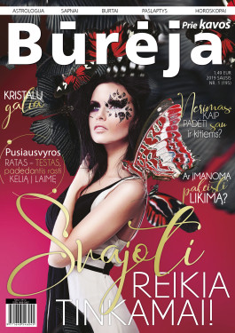 Bureja nr1