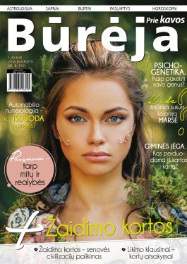 Bureja_Nr8