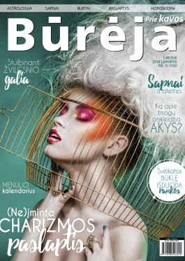 bureja nr11