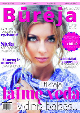 bureja_nr7 virselis