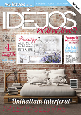 idejos-2015-1