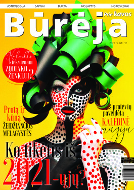 Bureja nr 12 virselis