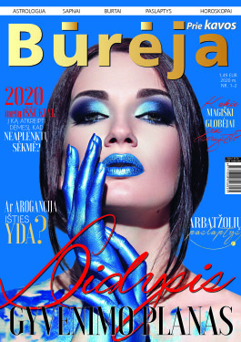 Burejos virselis
