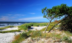 baltijos paplūdimys