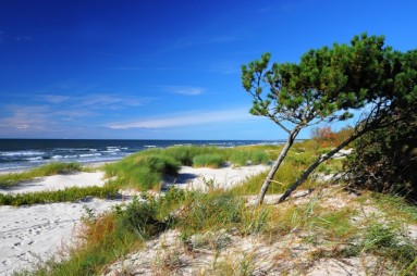 baltijos paplūdimys