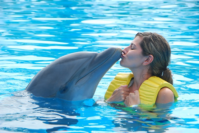 "delfinas ir mergina"
