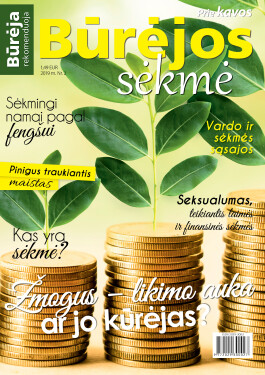 sekme_virselis