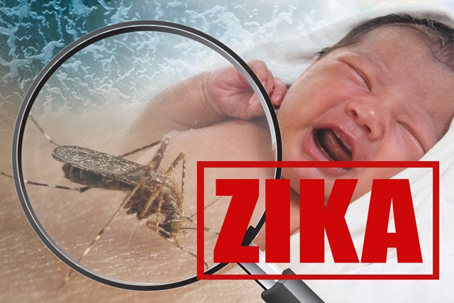 "zika"