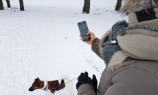 Kaip apsaugoti telefona ziema