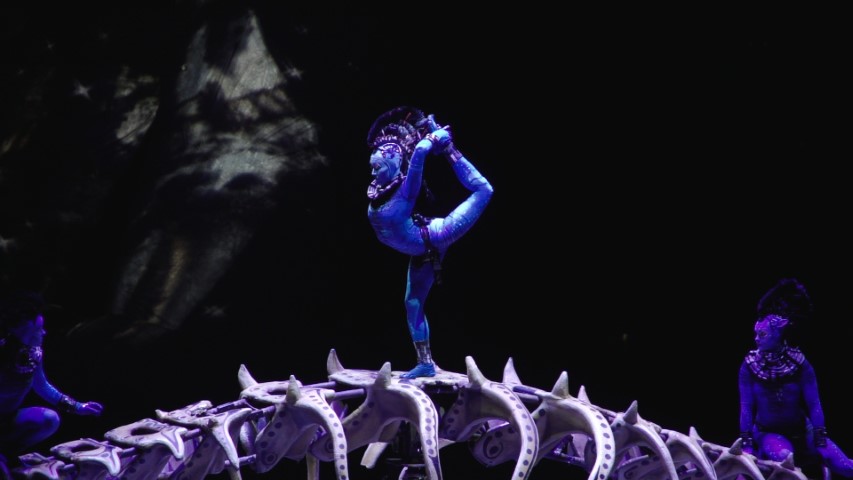 Cirque du Soleil.02_27_25_00.Still018 (Small)