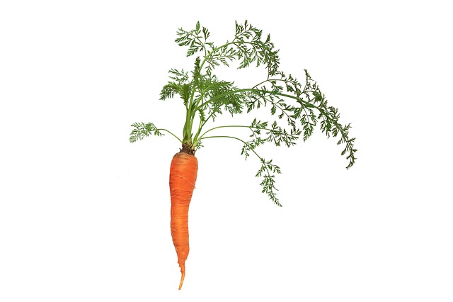 carrot-3179988_640
