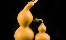 Gourds,On,Black