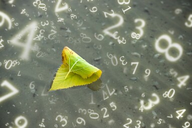 Numerology,,An,Autumn,Leaf,In,The,Form,Of,A,Sailboat