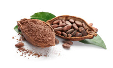 Halves,Of,Ripe,Cocoa,Pod,With,Beans,And,Powder,On