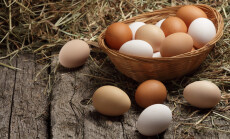 Hen,/,Chicken,Eggs,Basket,On,The,Hey