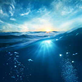Design,Template,With,Underwater,Part,And,Sunset,Skylight,Splitted,By