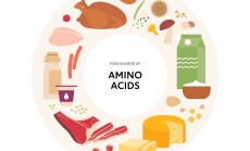 Healthy,Food,Guide,Concept.,Vector,Flat,Illustration.,Infographic,Of,Amino