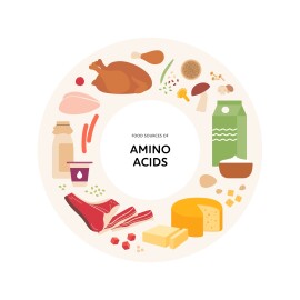 Healthy,Food,Guide,Concept.,Vector,Flat,Illustration.,Infographic,Of,Amino