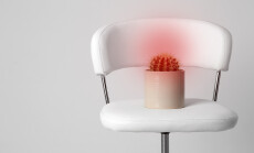 Hemorrhoid,Concept.,Chair,With,Cactus,Isolated,On,White