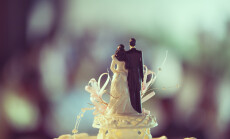 Wedding,Cake,And,Topper,-,Funny,Figurines,Suite,At,A