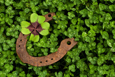 Horseshoe,With,Four,Leaf,Clover,In,Clover,Field