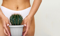The,Girl,Holds,A,Large,Cactus,In,The,Groin,Or