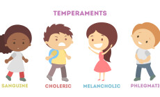 Babies,Temperaments,Set.,Choleric,And,Melancholic,,Sanguine,And,Phlegmatic.