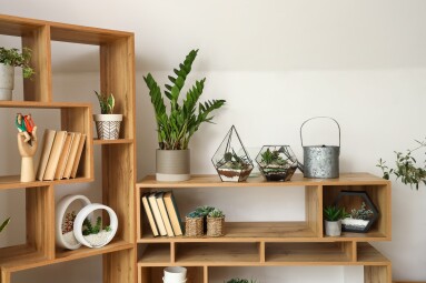 Bookcase,With,Florariums,And,Houseplants,Near,Light,Wall