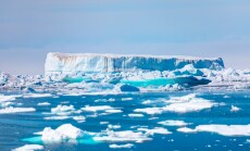 Melting,Icebergs,By,The,Coast,Of,Greenland,,On,A,Beautiful