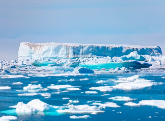 Melting,Icebergs,By,The,Coast,Of,Greenland,,On,A,Beautiful
