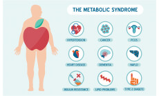 The,Metabolic,Syndrome,Infographics,With,Disease,Medical,Icons,,Fat,Male