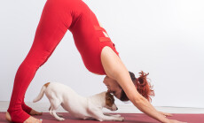 Woman,In,Downward,Facing,Dog,Pose,With,Her,Pet.,Yoga