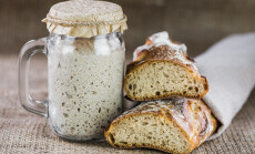 The,Leaven,For,Bread,Is,Active.,Starter,Sourdough.,The,Concept