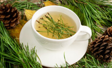 Pine,Needles,Tea,In,White,Cup.,Healthy,Winter,Beverage,In