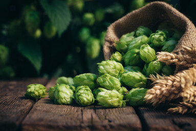 Beer,Brewing,Ingredients,,Hops,,And,Wheat,Ears,On,A,Wooden