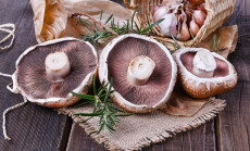 Portobello,Mushrooms,And,Rosemary,Over,Rustic,Wooden,Background.,Selective,Focus