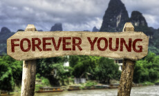 Forever,Young,Wooden,Sign,With,A,Forest,Background