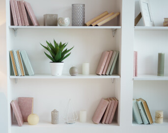 Bookcase,With,Pink,And,Blue,Books.,Plant,In,Pot.,White