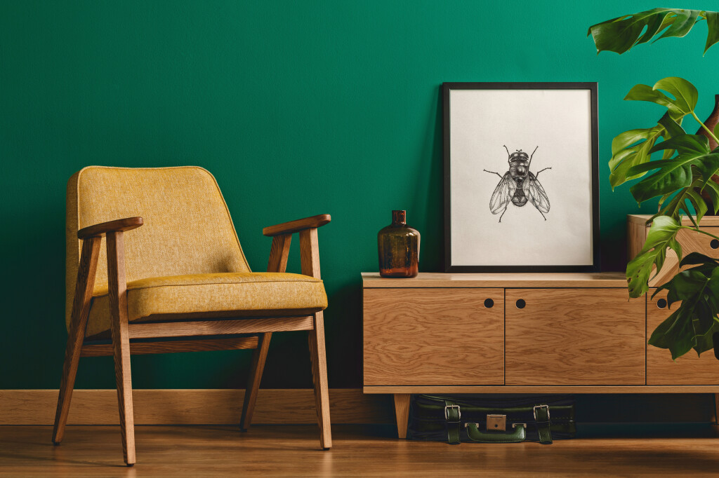 Classy,Minimalist,Living,Room,Interior,With,A,Framed,Insect,Poster