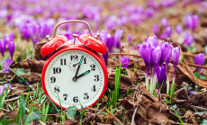 Classic,Alarm,Clock,Over,Spring,Flowers,Background.,Daylight,Saving,Time