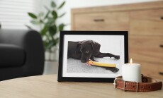 Frame,With,Picture,Of,Dog,,Collar,And,Burning,Candle,On