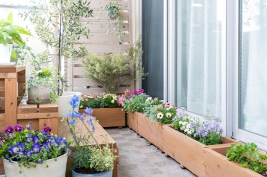 Gardening,On,The,Balcony,Of,The,Apartment