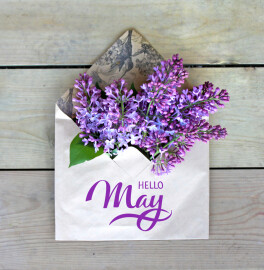 Hello,May,Hand,Lettering,Card.,Spring,Lilac,Flowers,In,Envelope.