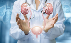 The,Doctor,Shows,The,Urinary,System,On,Blurred,Background.