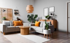 Interior,Of,Living,Room,With,Green,Houseplants,And,Sofas