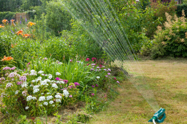 Watering,The,Garden,And,Vegetable,Garden,In,Hot,Weather.,Spinkler