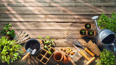 Gardening,Tools,And,Seedlings,On,Wooden,Table,In,Greenhouse.,Spring