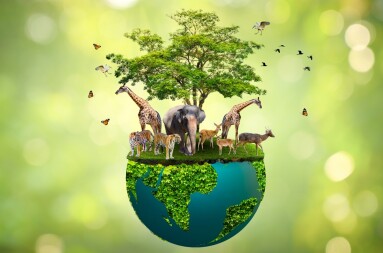 Concept,Nature,Reserve,Conserve,Wildlife,Reserve,Tiger,Deer,Global,Warming