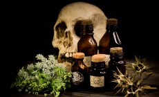 Poison,Bottles,,Hemlock,Flowers,And,Burundanga,Seeds,Poisonous,Herbs,Concept