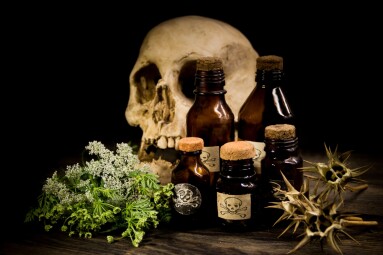 Poison,Bottles,,Hemlock,Flowers,And,Burundanga,Seeds,Poisonous,Herbs,Concept